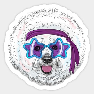 Star Disco dog Bichon Sticker